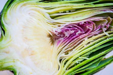 Searcys Summer Food 2018 41