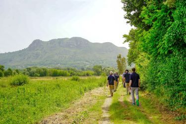 a7ebdb86 7117 4fe6 9223c6fbff17